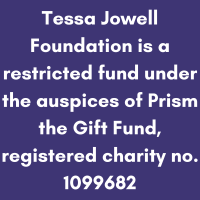 Tessa Jowell Foundation - A Night to Remember