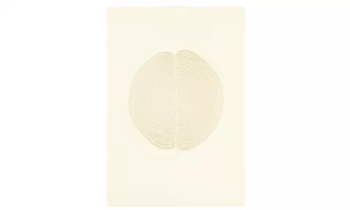 Antony Gormley  BRAIN FIELD, 2007  Lithograph on 300 gsm Velin d´Arches paper  100 x 69cm  Edition 29 from an edition of 40 plus 4 APs