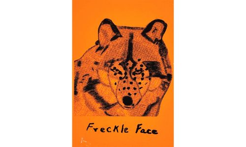 LOT 17 : Freckle Face