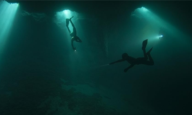 Discover the secrets of ocean cinematography with Luis Lamar