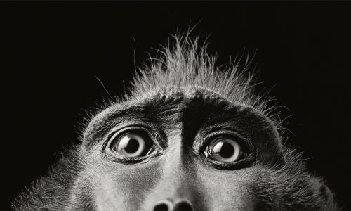 Fujifilm camera and photography session with expert photographer, Tim Flach