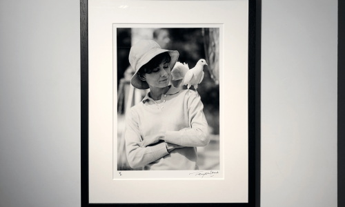 Signed and editioned print by Terry O'Neill