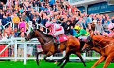 Horse Racing, Epsom Package- Sponsor a Horse Race with hospitality for 10 people
