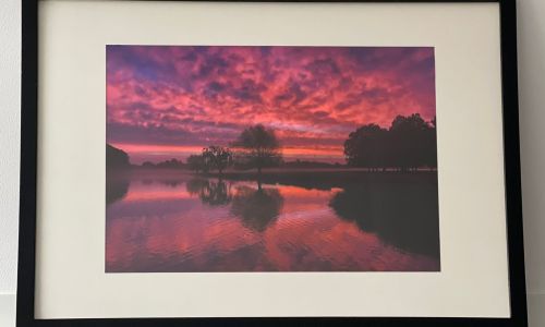 Framed photograph, Bushy Park, Teddington